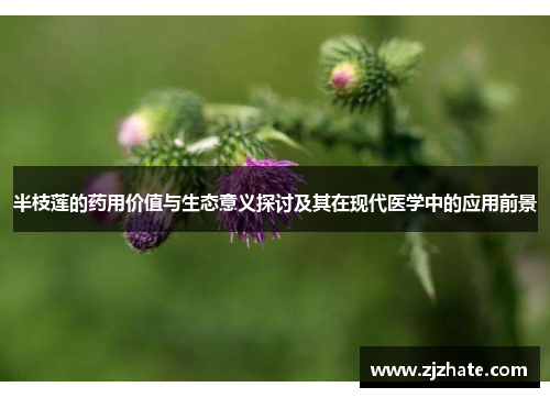 半枝莲的药用价值与生态意义探讨及其在现代医学中的应用前景