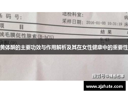 黄体酮的主要功效与作用解析及其在女性健康中的重要性