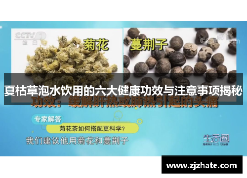 夏枯草泡水饮用的六大健康功效与注意事项揭秘