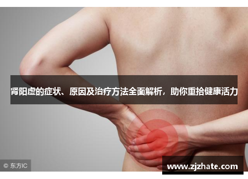 肾阳虚的症状、原因及治疗方法全面解析，助你重拾健康活力